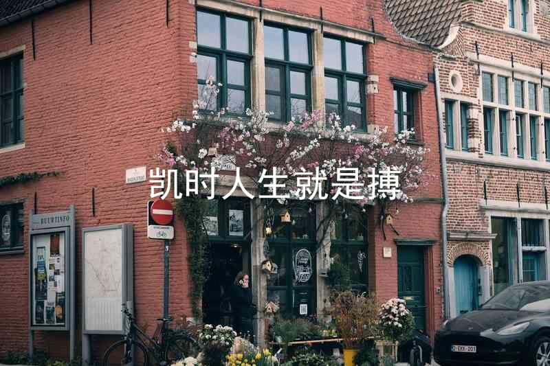 凯时人生就是搏