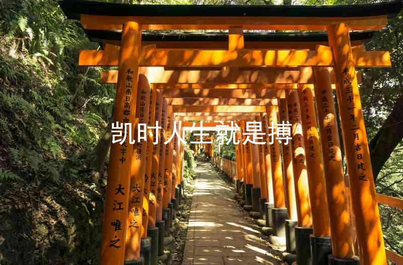 凯时人生就是搏